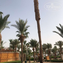 фото из отзыва ID 2698765