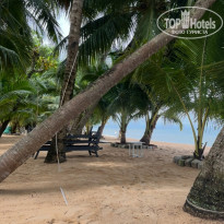 фото из отзыва ID 2698778