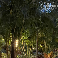 фото из отзыва ID 2698778