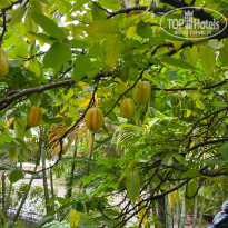 фото из отзыва ID 2698778