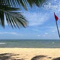 фото из отзыва ID 2698778