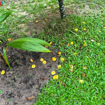 фото из отзыва ID 2698778