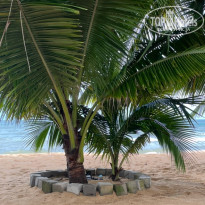 фото из отзыва ID 2698778