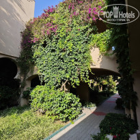 фото из отзыва ID 2698855