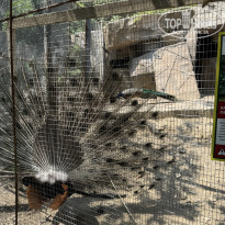 фото из отзыва ID 2698902