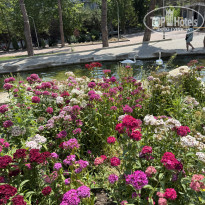 фото из отзыва ID 2698902