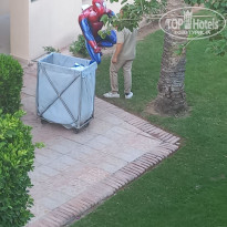 фото из отзыва ID 2698867