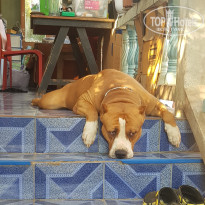 фото из отзыва ID 2698926