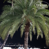 фото из отзыва ID 2698926