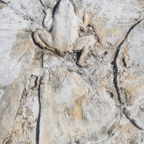 фото из отзыва ID 2698926