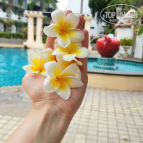 фото из отзыва ID 2698926