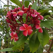 фото из отзыва ID 2698926