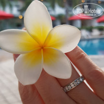 фото из отзыва ID 2698926