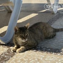 фото из отзыва ID 2698936