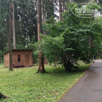 фото из отзыва ID 2698947