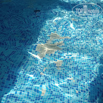 фото из отзыва ID 2698947