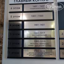 фото из отзыва ID 2698947