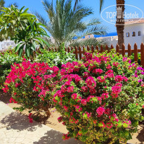 фото из отзыва ID 2698959
