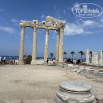 фото из отзыва ID 2698965