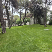 фото из отзыва ID 2698965