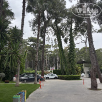 фото из отзыва ID 2698965