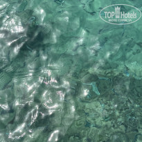 фото из отзыва ID 2698965