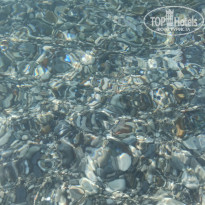 фото из отзыва ID 2698974