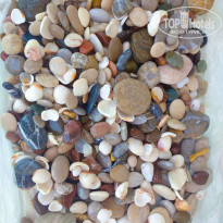 фото из отзыва ID 2696570