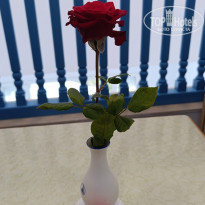 фото из отзыва ID 2698995