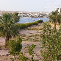 фото из отзыва ID 2699080