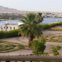 фото из отзыва ID 2699080