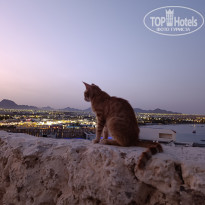 фото из отзыва ID 2699080