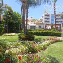 фото из отзыва ID 2699080