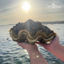 фото из отзыва ID 2699103