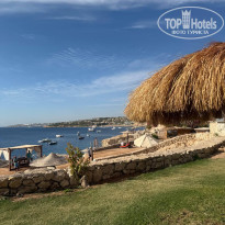 фото из отзыва ID 2699103