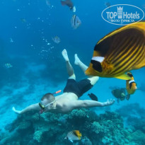 фото из отзыва ID 2699103