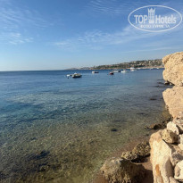 фото из отзыва ID 2699103