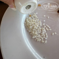 фото из отзыва ID 2699103