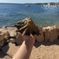 фото из отзыва ID 2699103