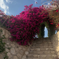 фото из отзыва ID 2699103