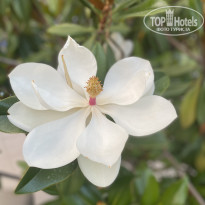 фото из отзыва ID 2699100
