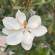 фото из отзыва ID 2699100