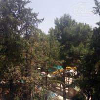 фото из отзыва ID 2699115