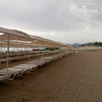 фото из отзыва ID 2699115