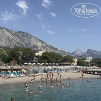 фото из отзыва ID 2699245