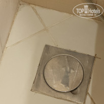 фото из отзыва ID 2699268