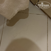 фото из отзыва ID 2699268