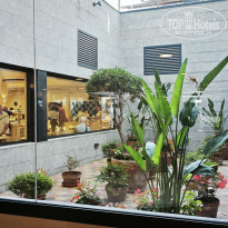 фото из отзыва ID 2699295