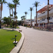 фото из отзыва ID 2699314