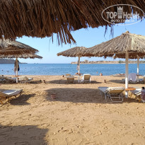 фото из отзыва ID 2699314